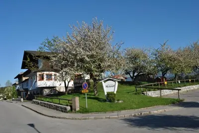 Ein Garten an der Unterkunft Pension Mariandl Appartement 3