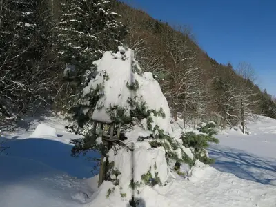 Schossbach in Haus Waldwinkel im Winter
