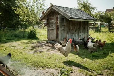 Tiere auf dem Campingplatz oder in der Nähe