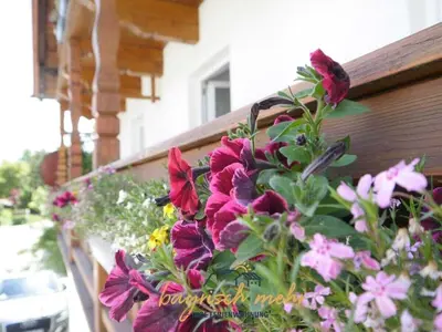 Grundriss der Unterkunft Bavarian holiday apartment more
