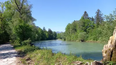 Naturlandschaft in der Nähe des Bauernhofs