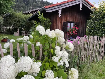 Ein Garten an der Unterkunft Ferienwohnung Sachrang