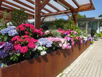 Ein Garten an der Unterkunft Ferienwohnung Irene Dorn // Andechs