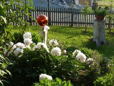 Ein Garten an der Unterkunft Ferienwohnung Panorama